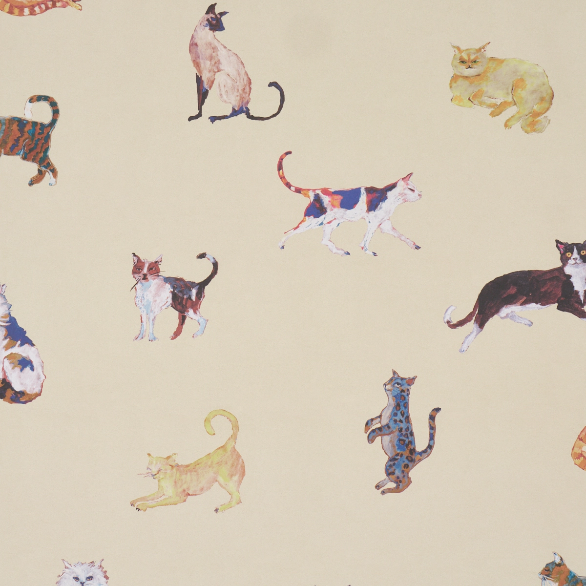Cats_ CREAM