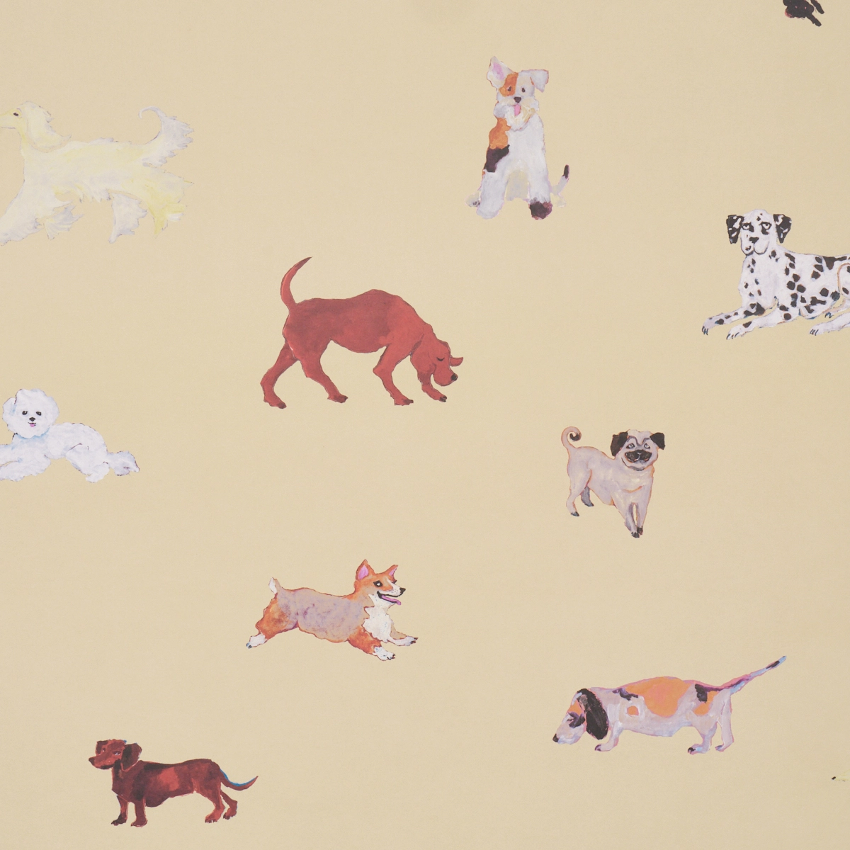 Dogs_ BUTTER