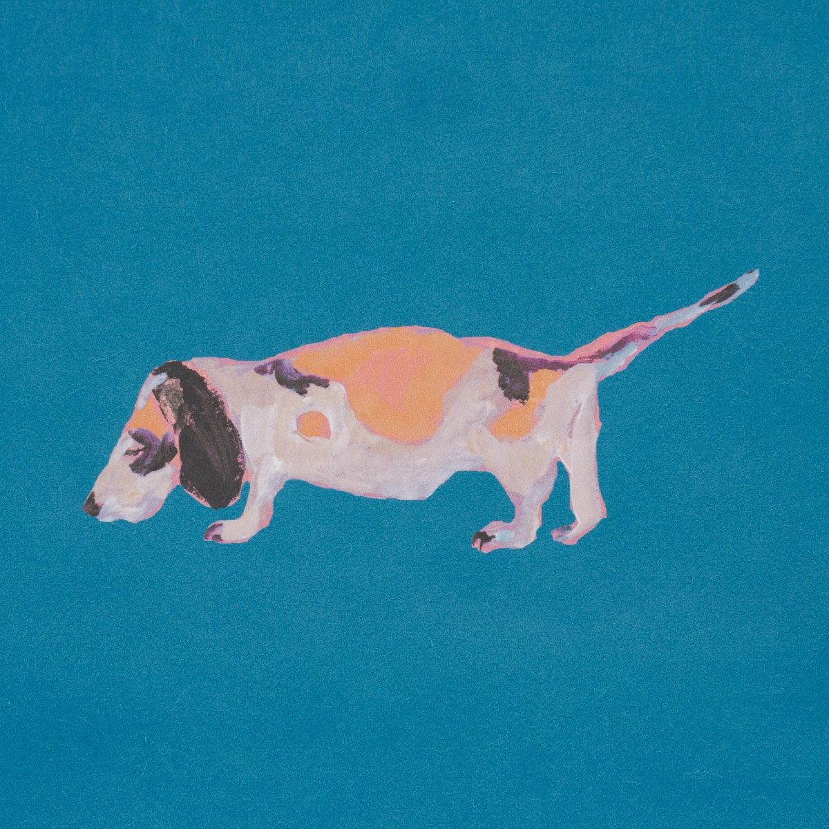 Dogs_ CERULEAN