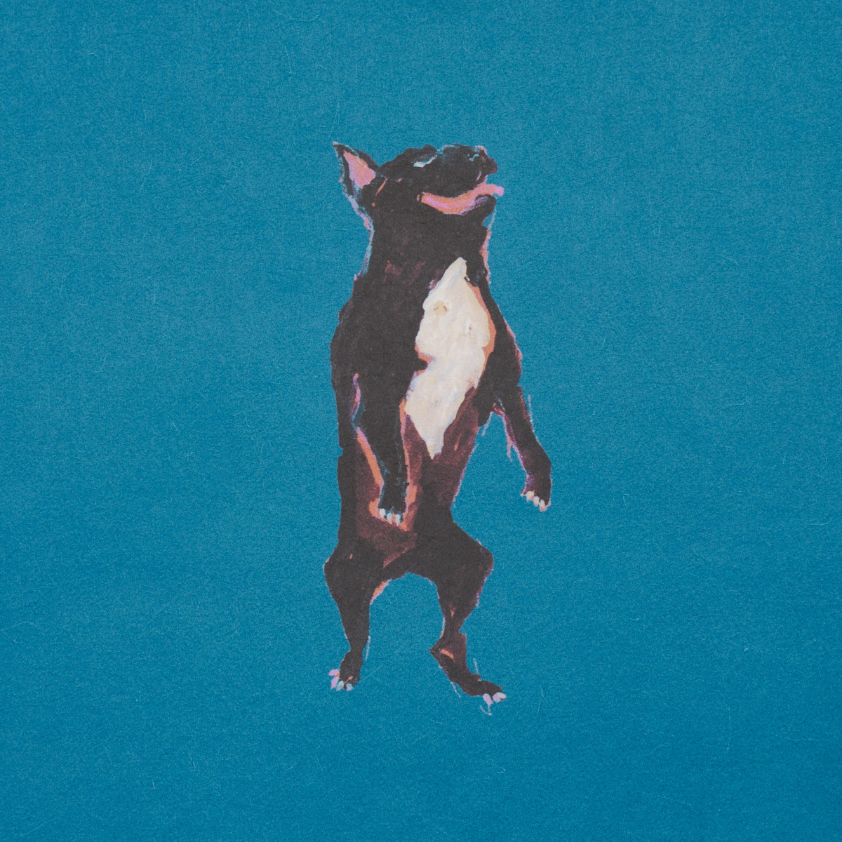Dogs_ CERULEAN