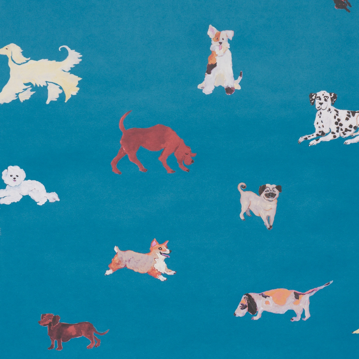 Dogs_ CERULEAN