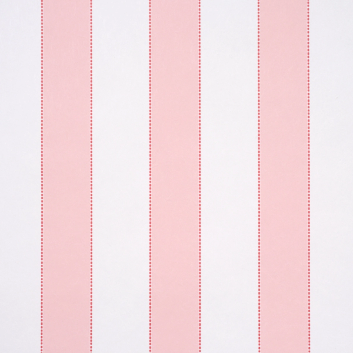 Louise Stripe_ ROSE
