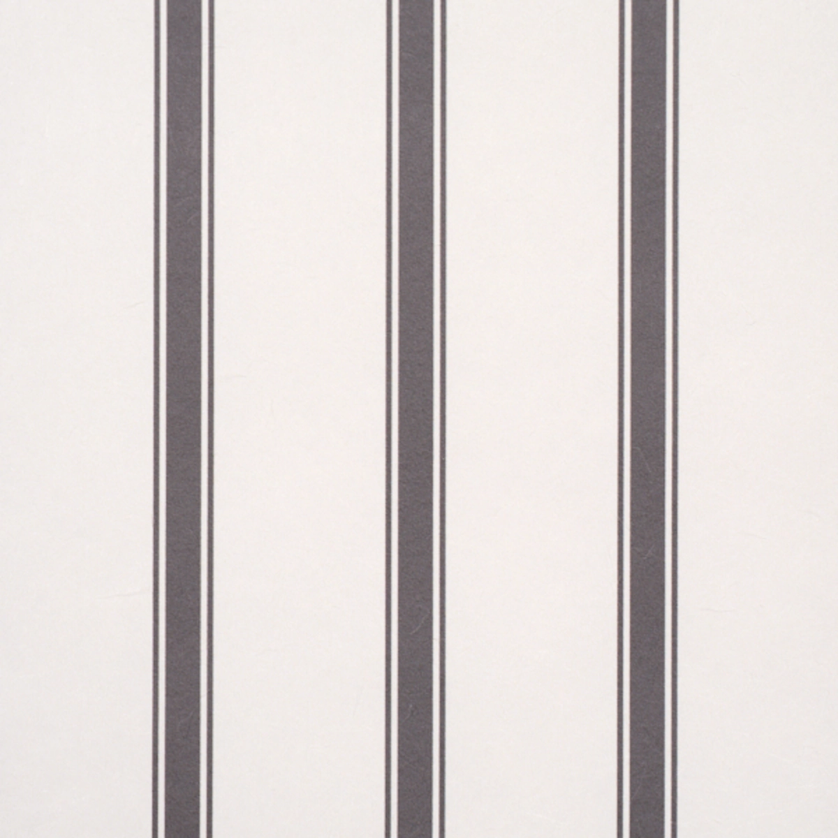 Westerly Stripe_ CHARCOAL
