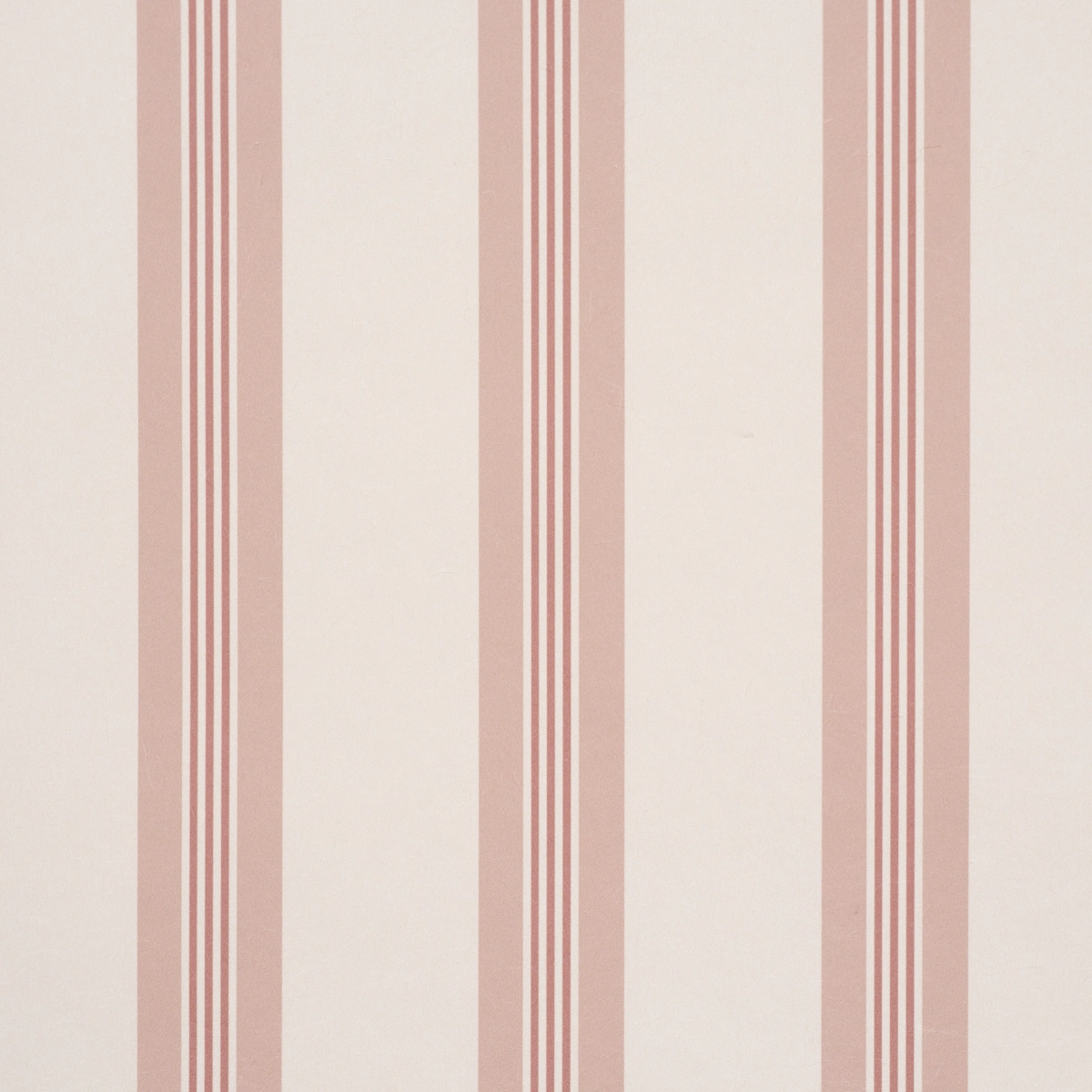 Chatham Stripe_ ROSE