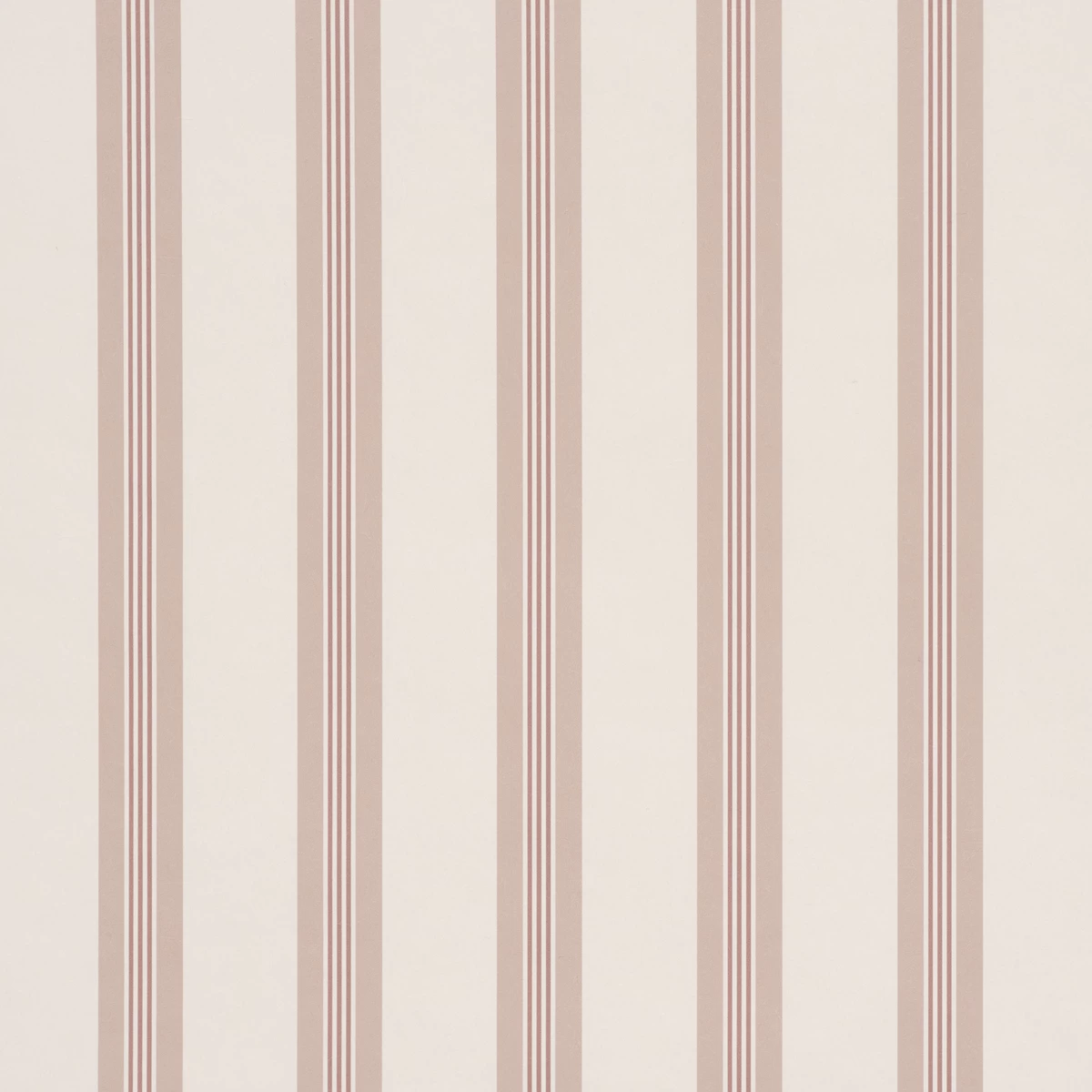Chatham Stripe_ ROSE