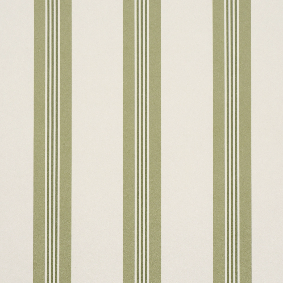 Chatham Stripe_ LEAF