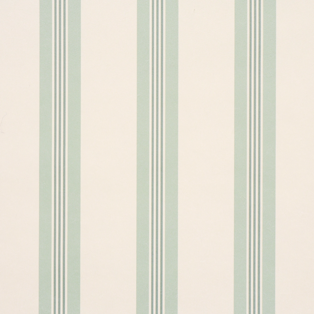Chatham Stripe_ CELADON