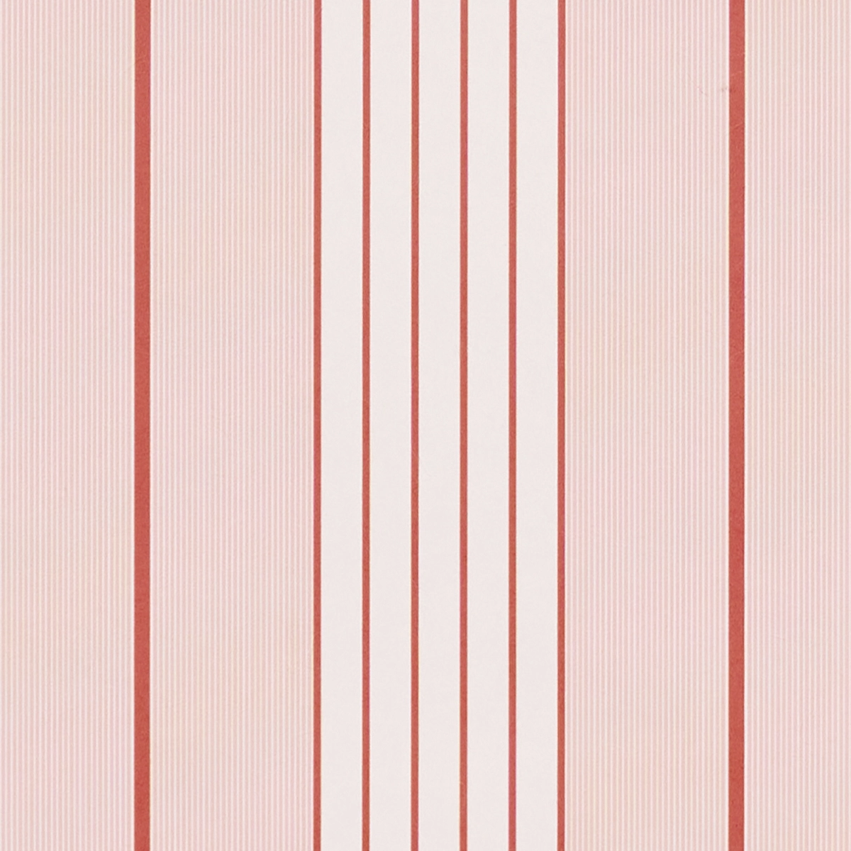 Audrey Stripe_ PINK