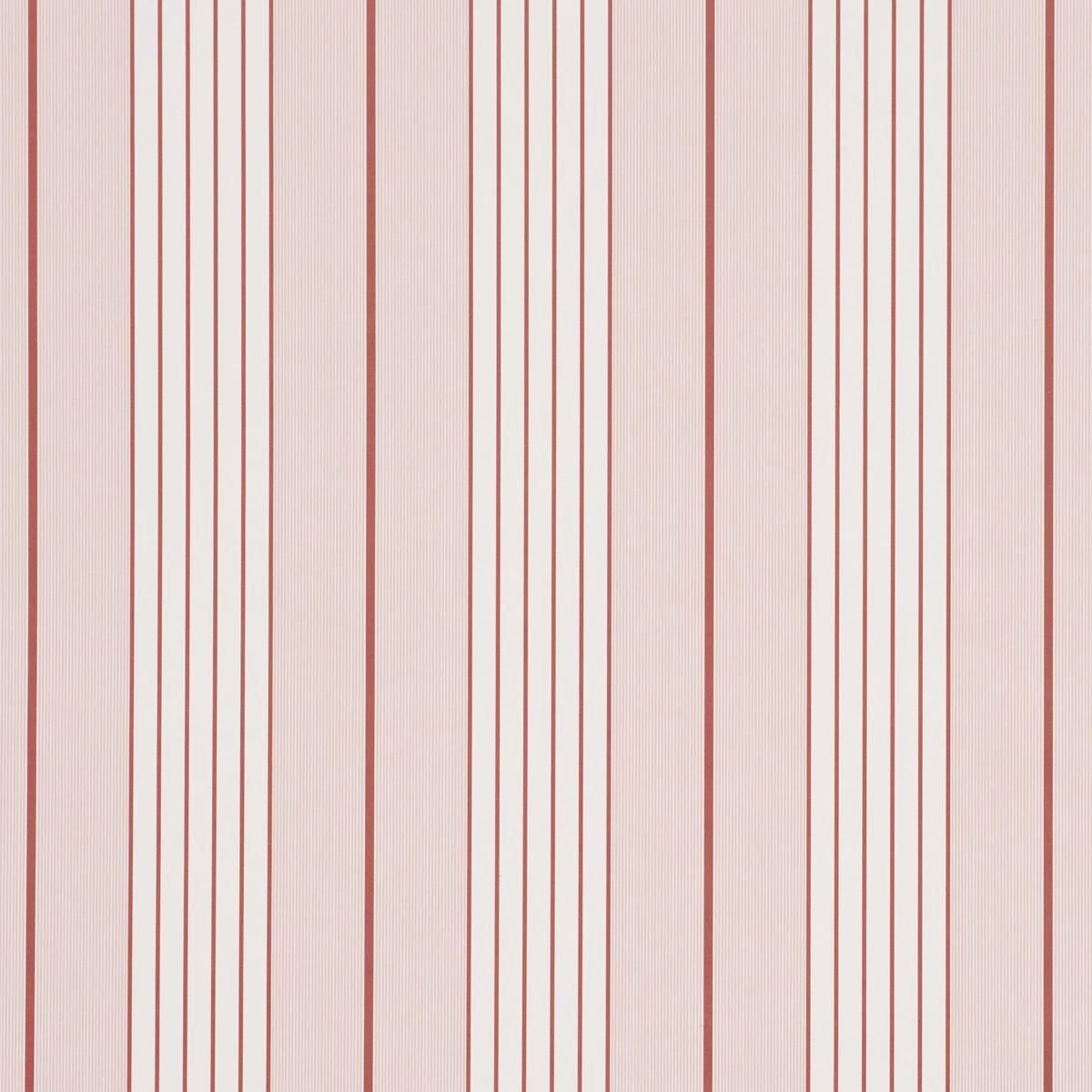Audrey Stripe_ PINK