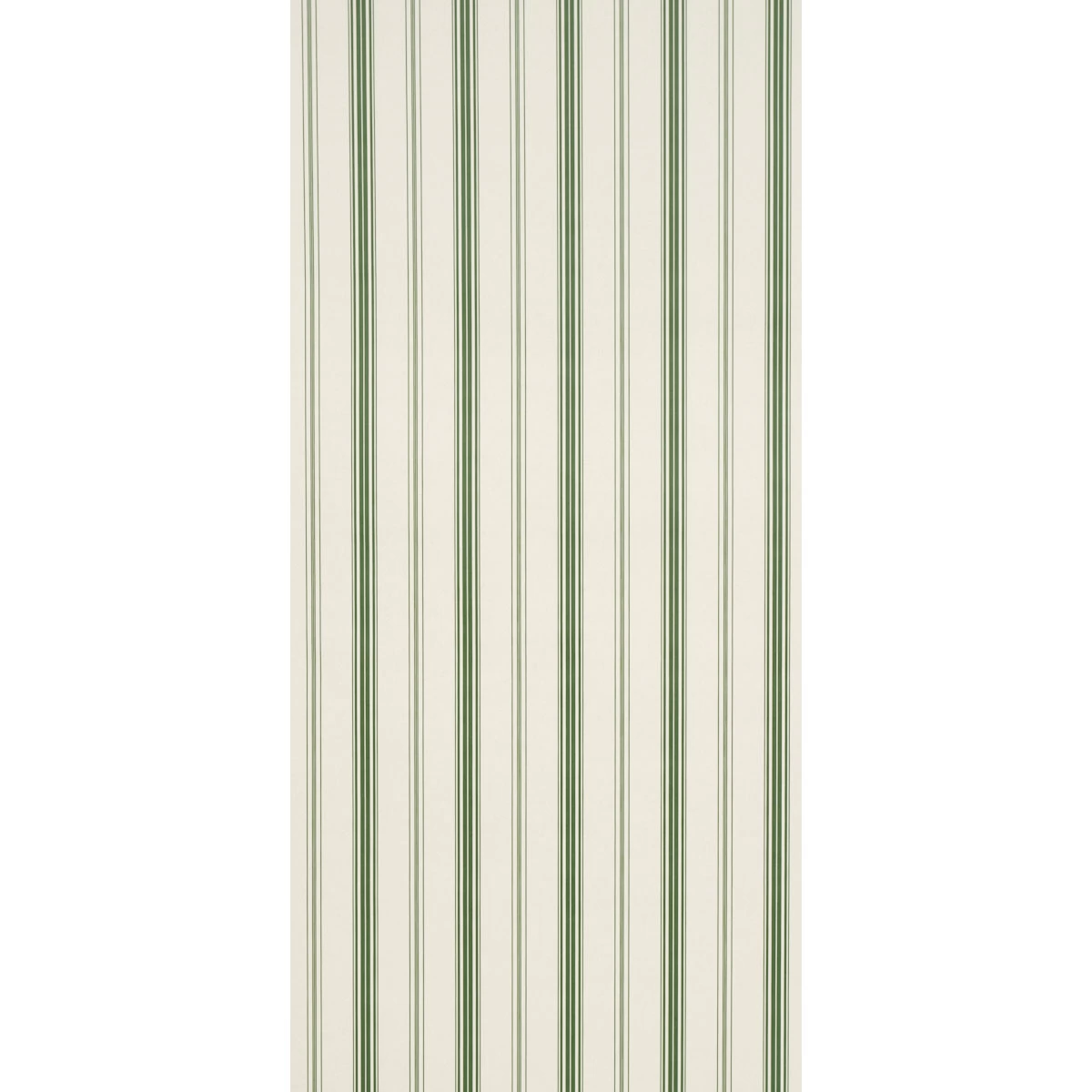 Coco Stripe_ GREEN