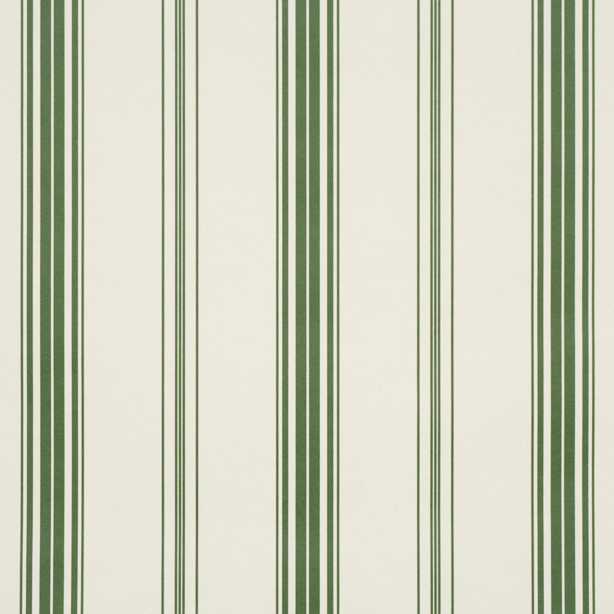 Coco Stripe_ GREEN