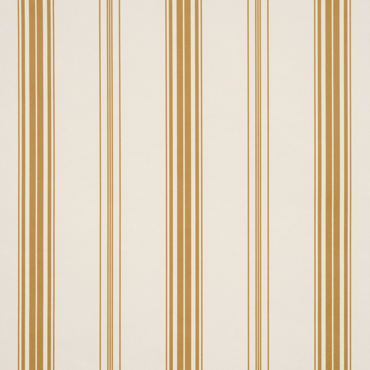 Coco Stripe_ MARIGOLD