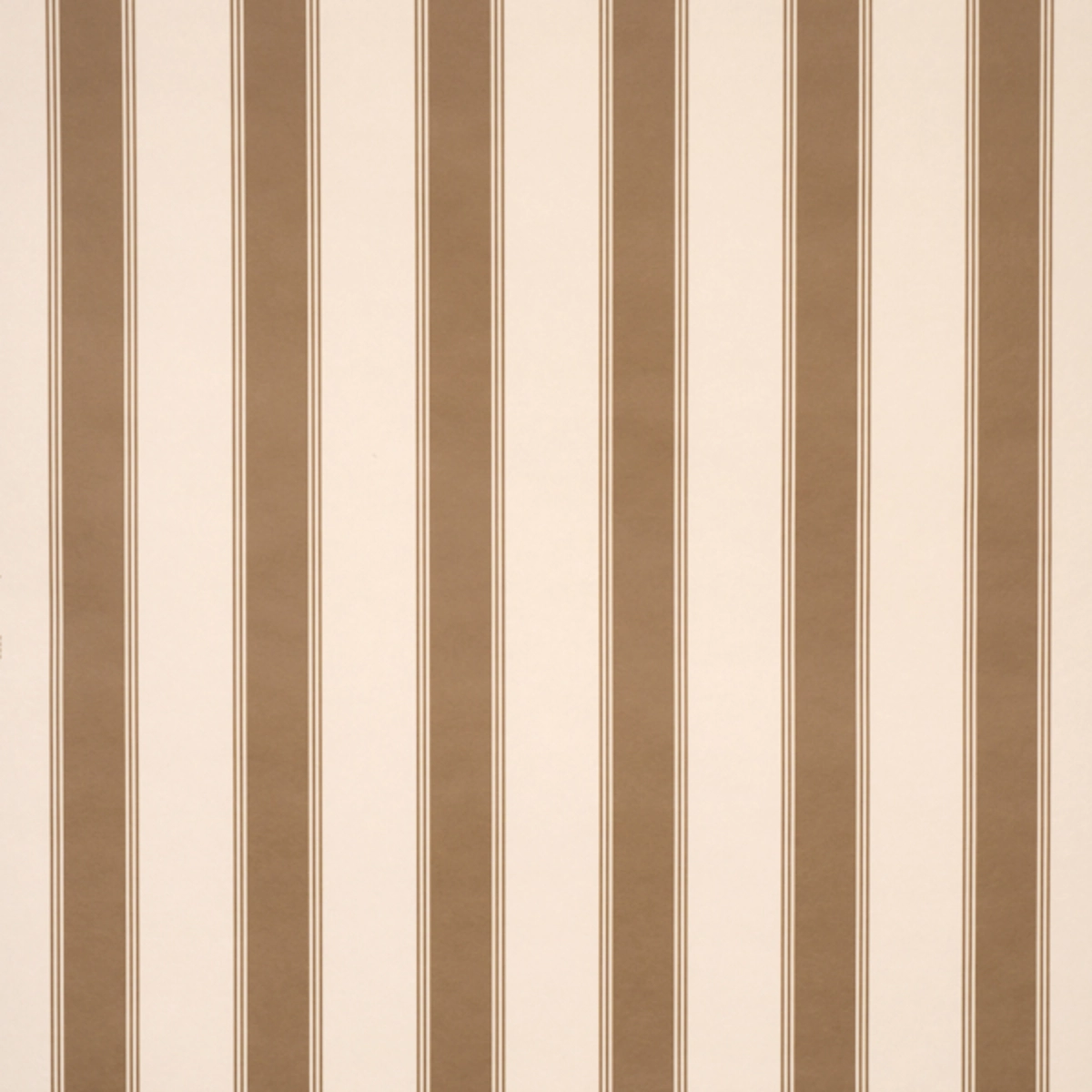 Rafe Stripe_ CHOCOLATE
