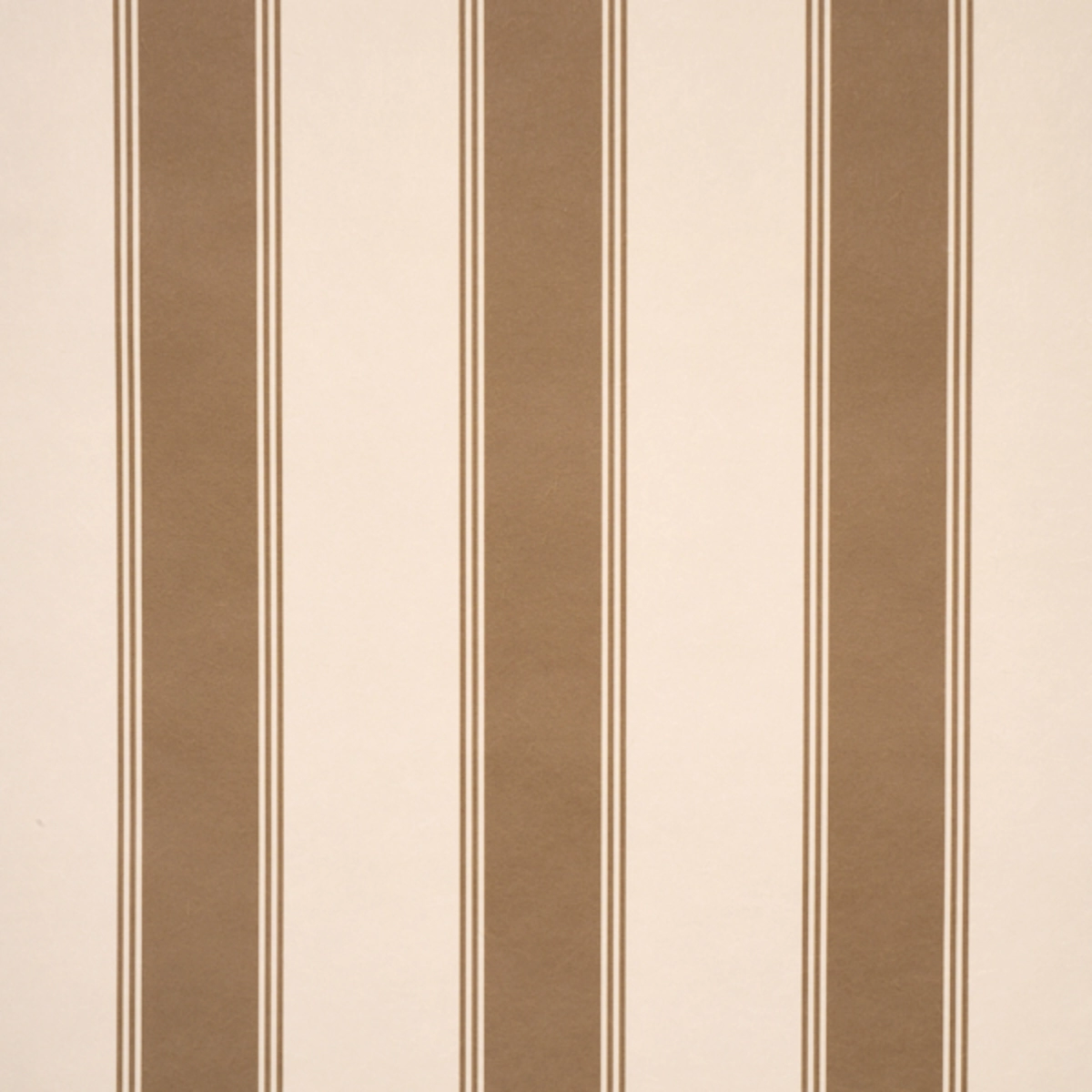 Rafe Stripe_ CHOCOLATE
