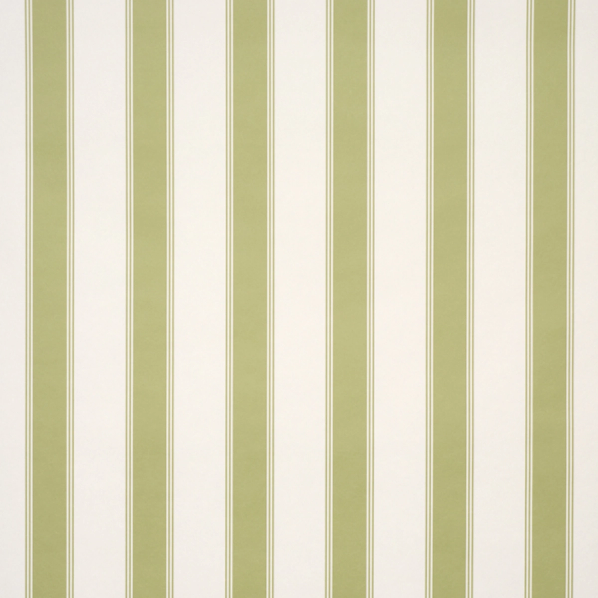 Rafe Stripe_ LEAF
