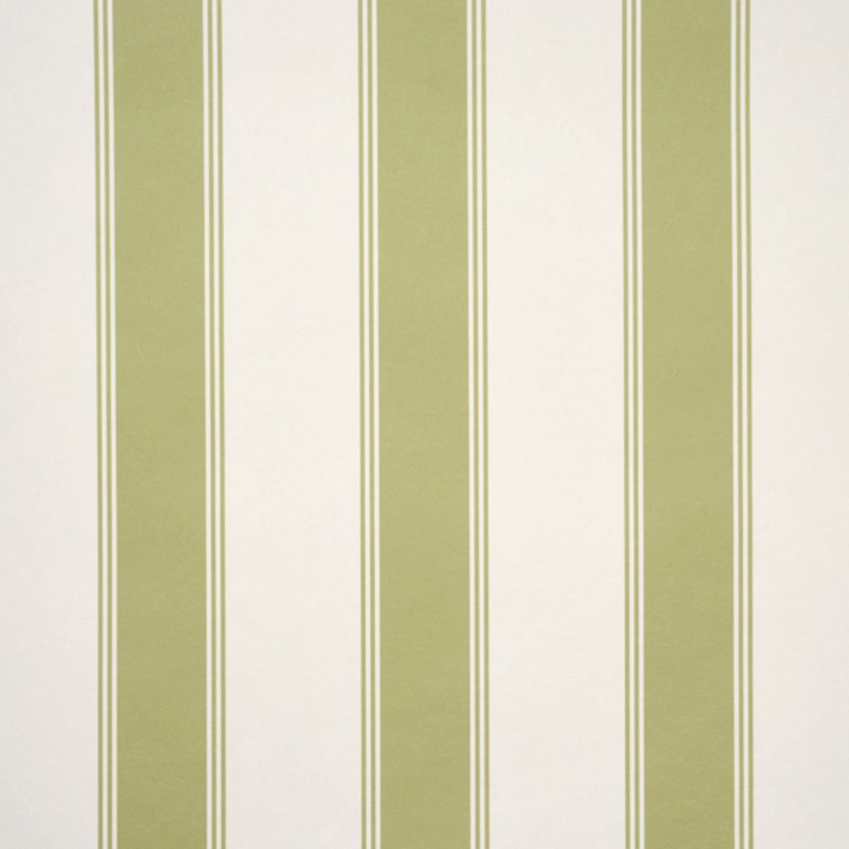 Rafe Stripe_ LEAF