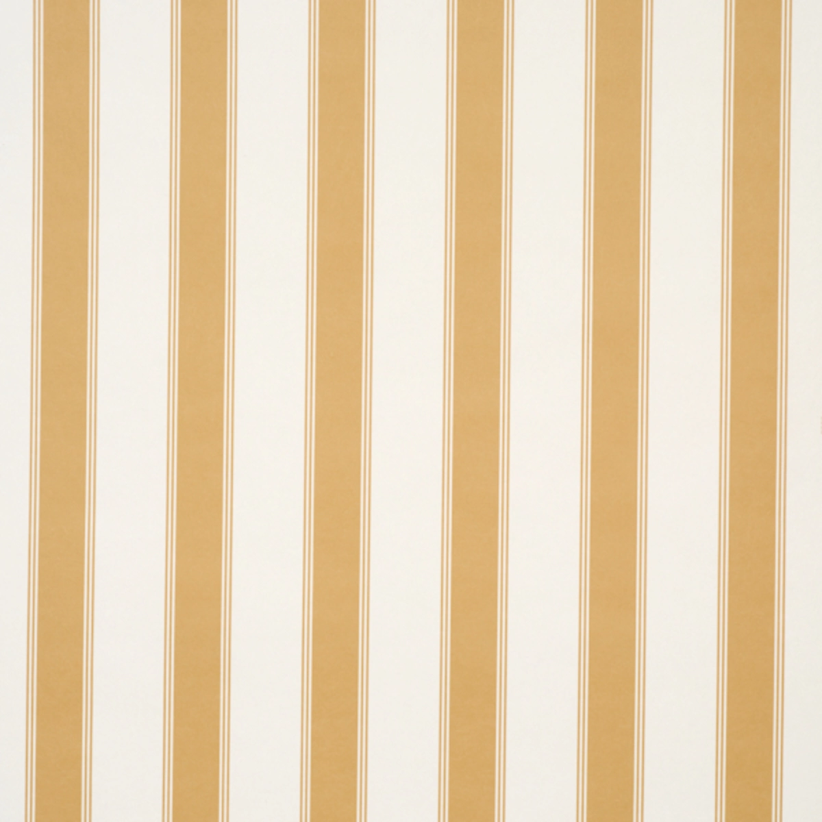 Rafe Stripe_ MARIGOLD