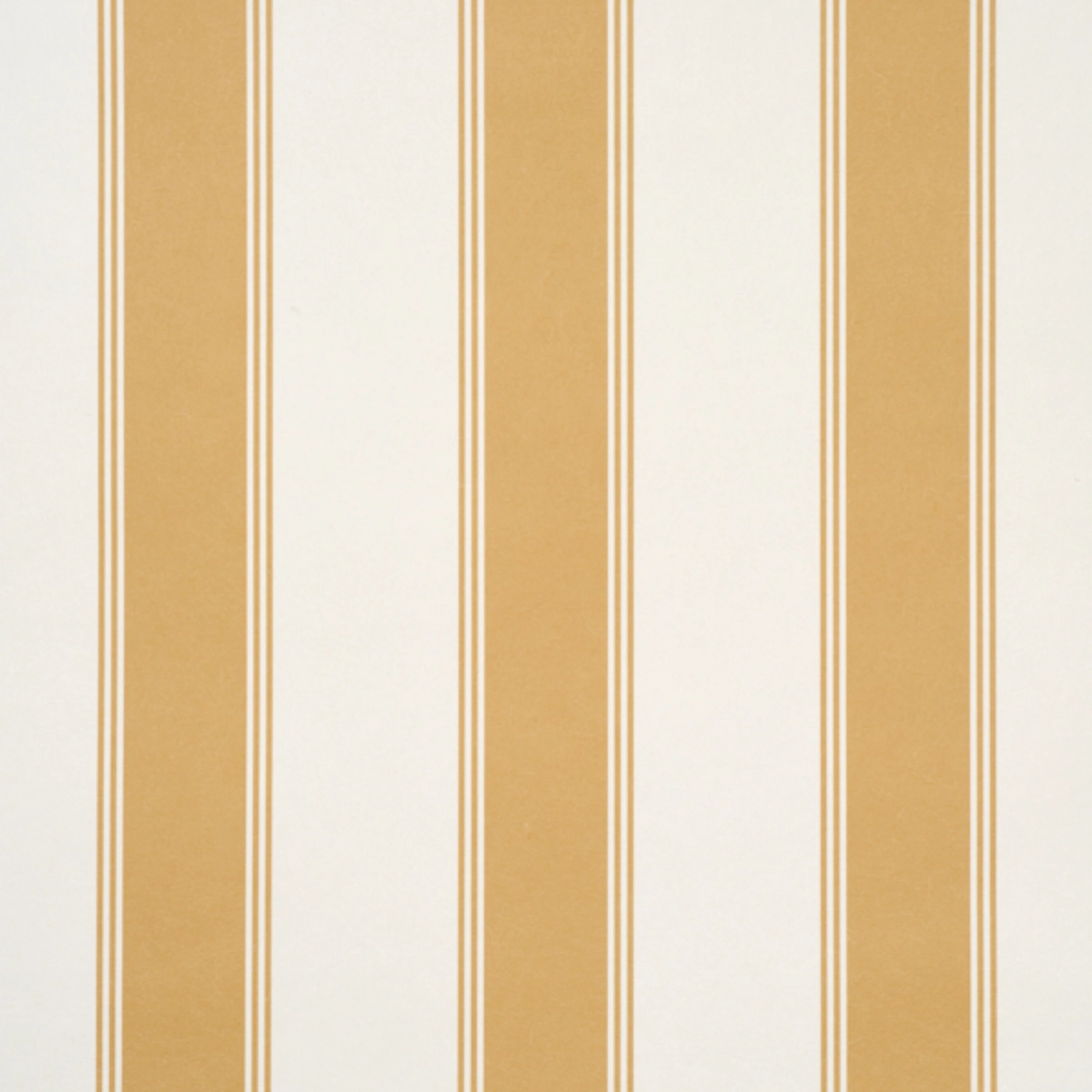 Rafe Stripe_ MARIGOLD
