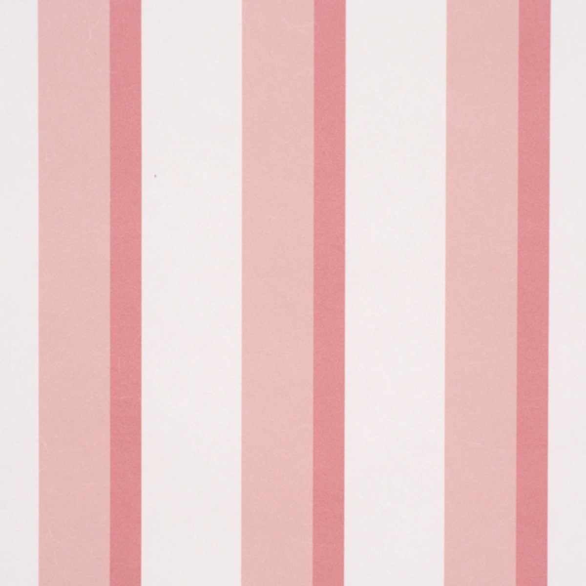 Rigsby Stripe_ PINK