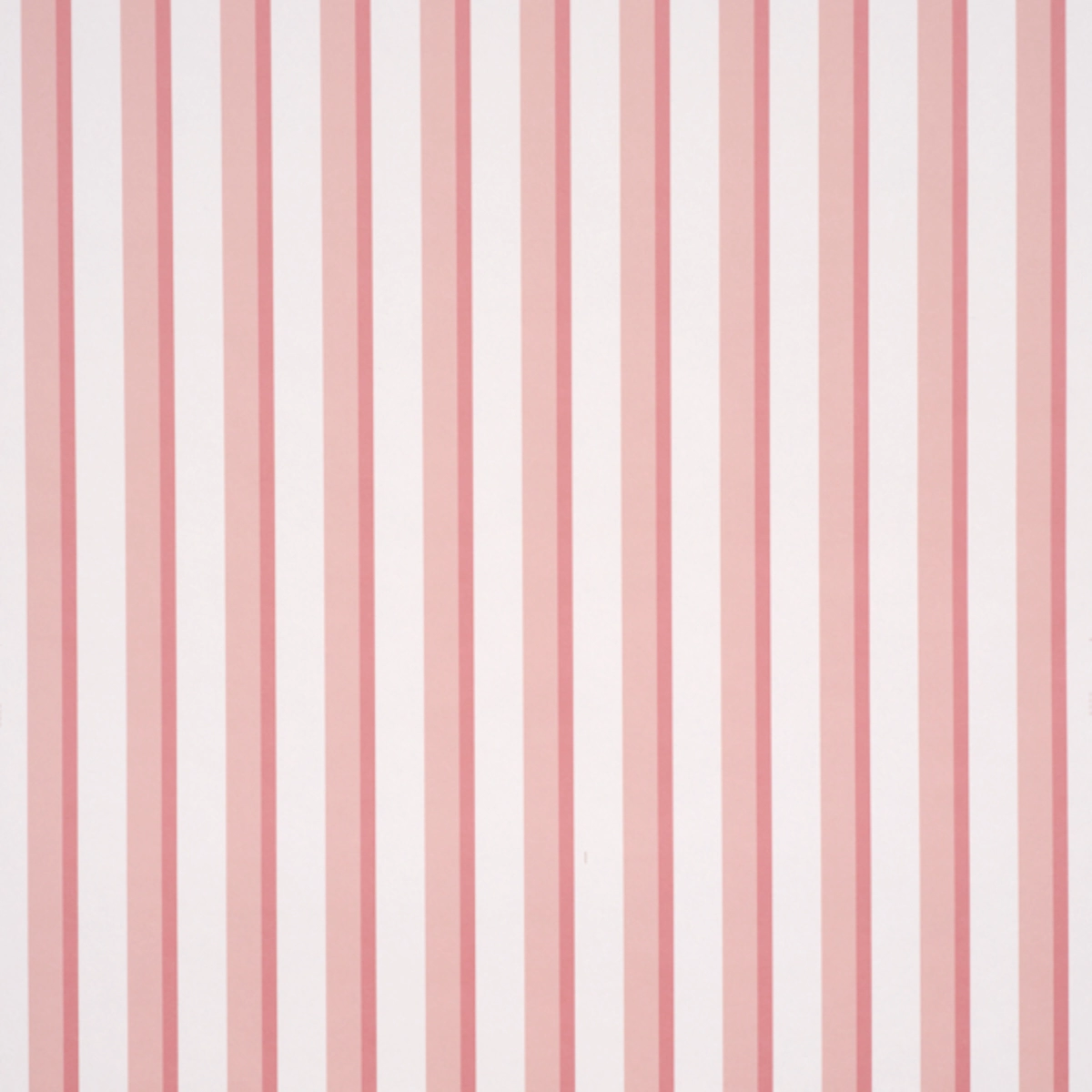 Rigsby Stripe_ PINK