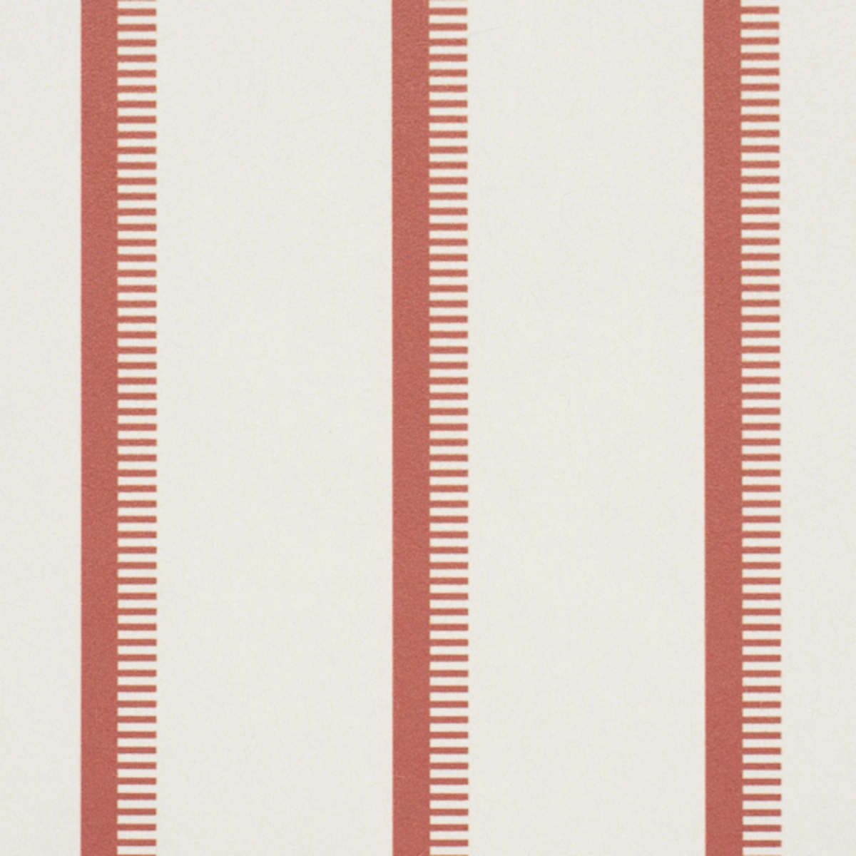 Tyla Stripe_ TERRACOTTA