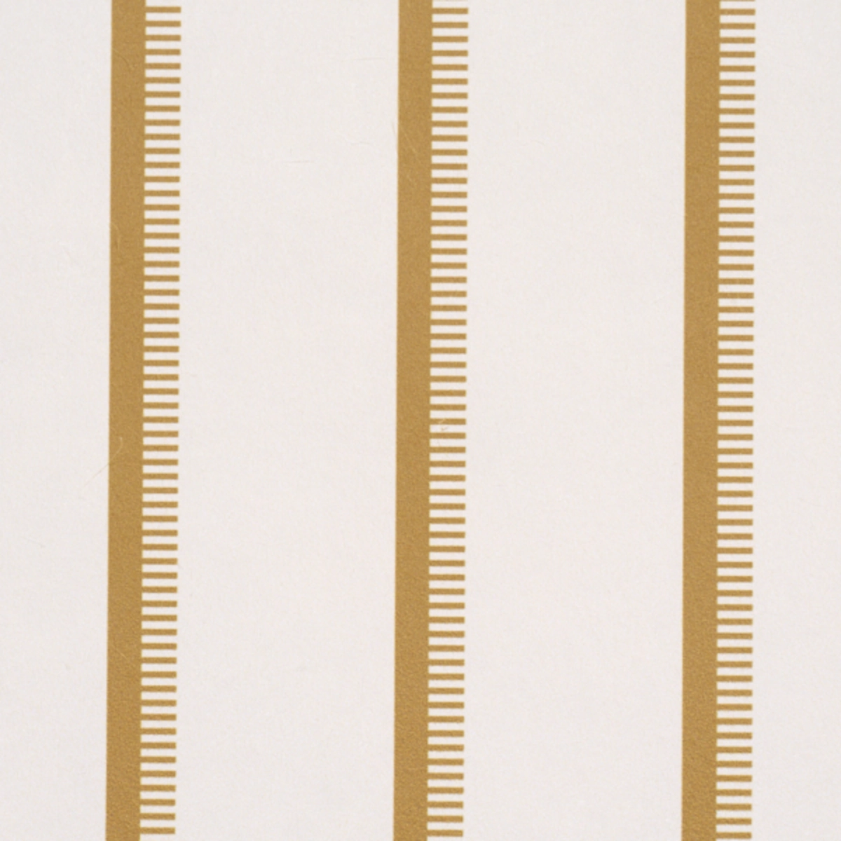 Tyla Stripe_ DIJON