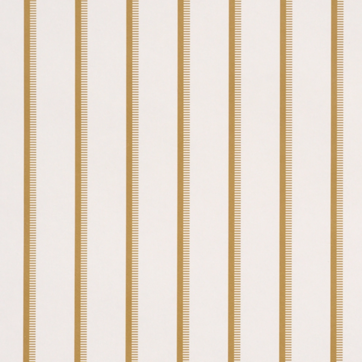 Tyla Stripe_ DIJON