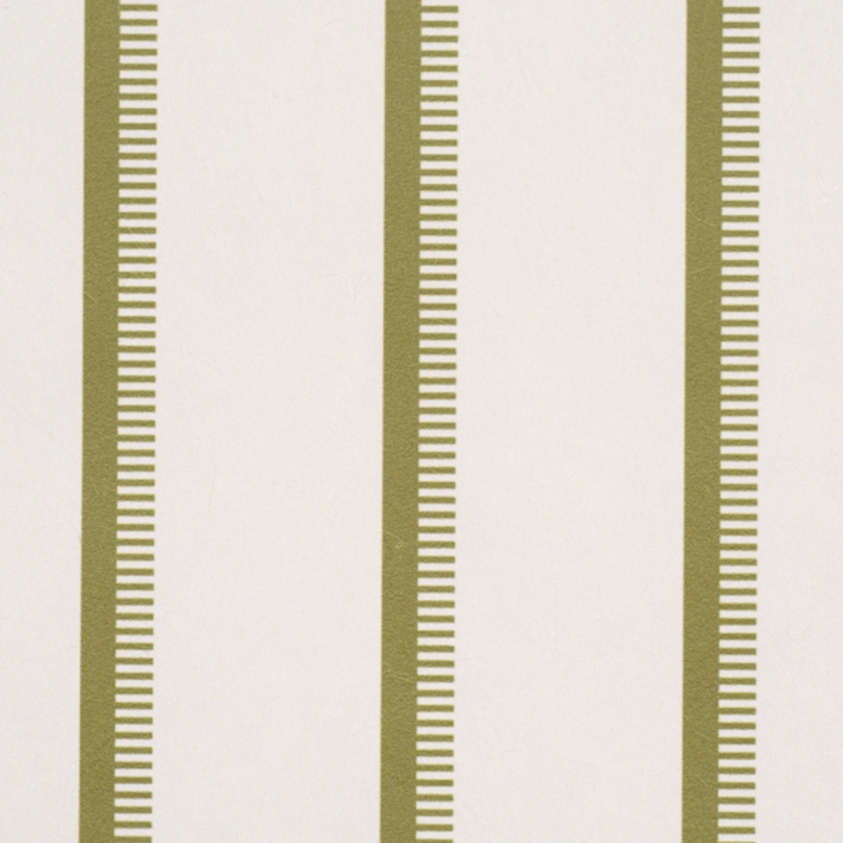 Tyla Stripe_ OLIVINE