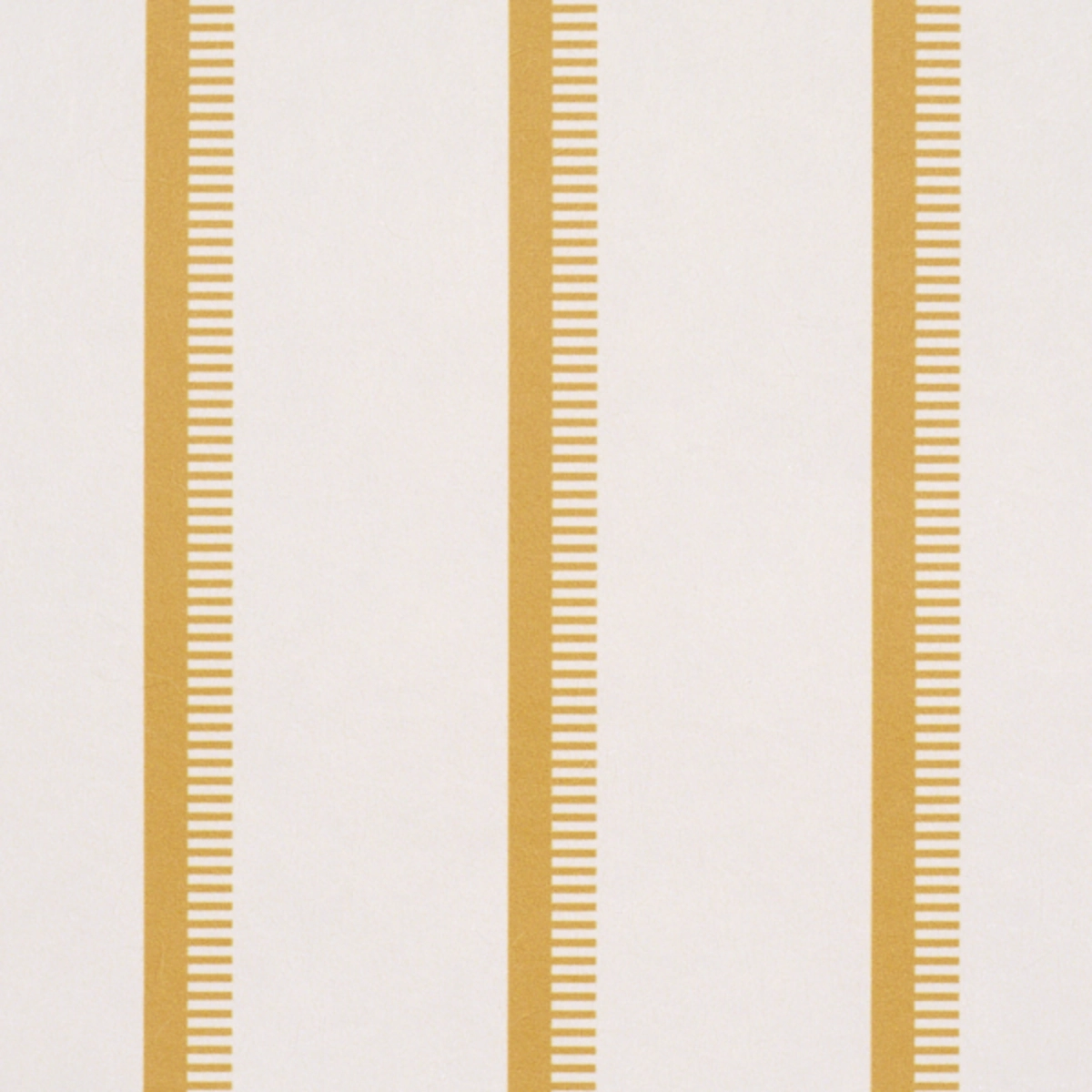 Tyla Stripe_ BUTTERNUT