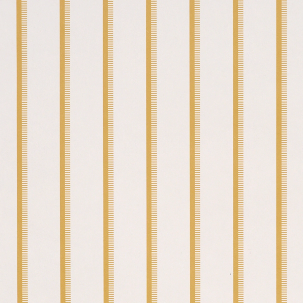 Tyla Stripe_ BUTTERNUT