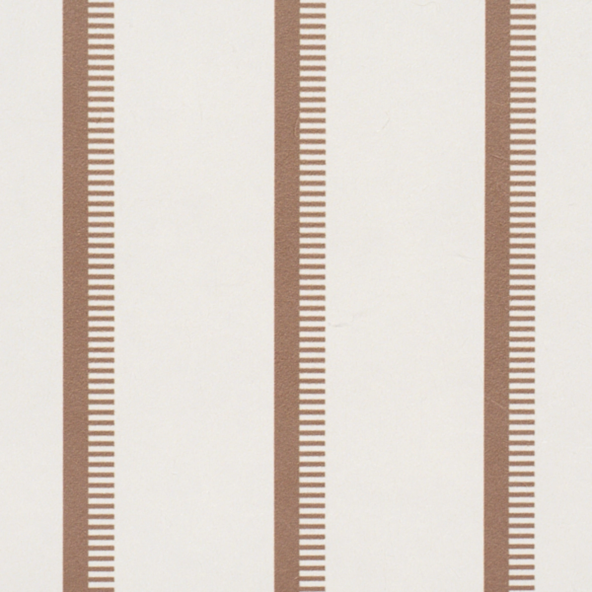 Tyla Stripe_ UMBER