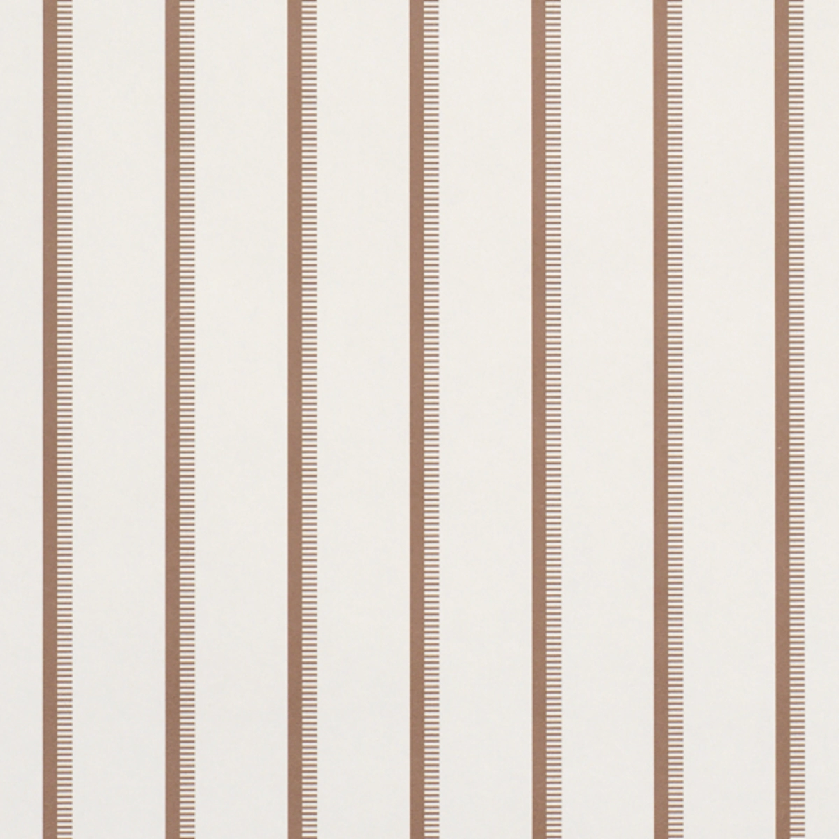 Tyla Stripe_ UMBER