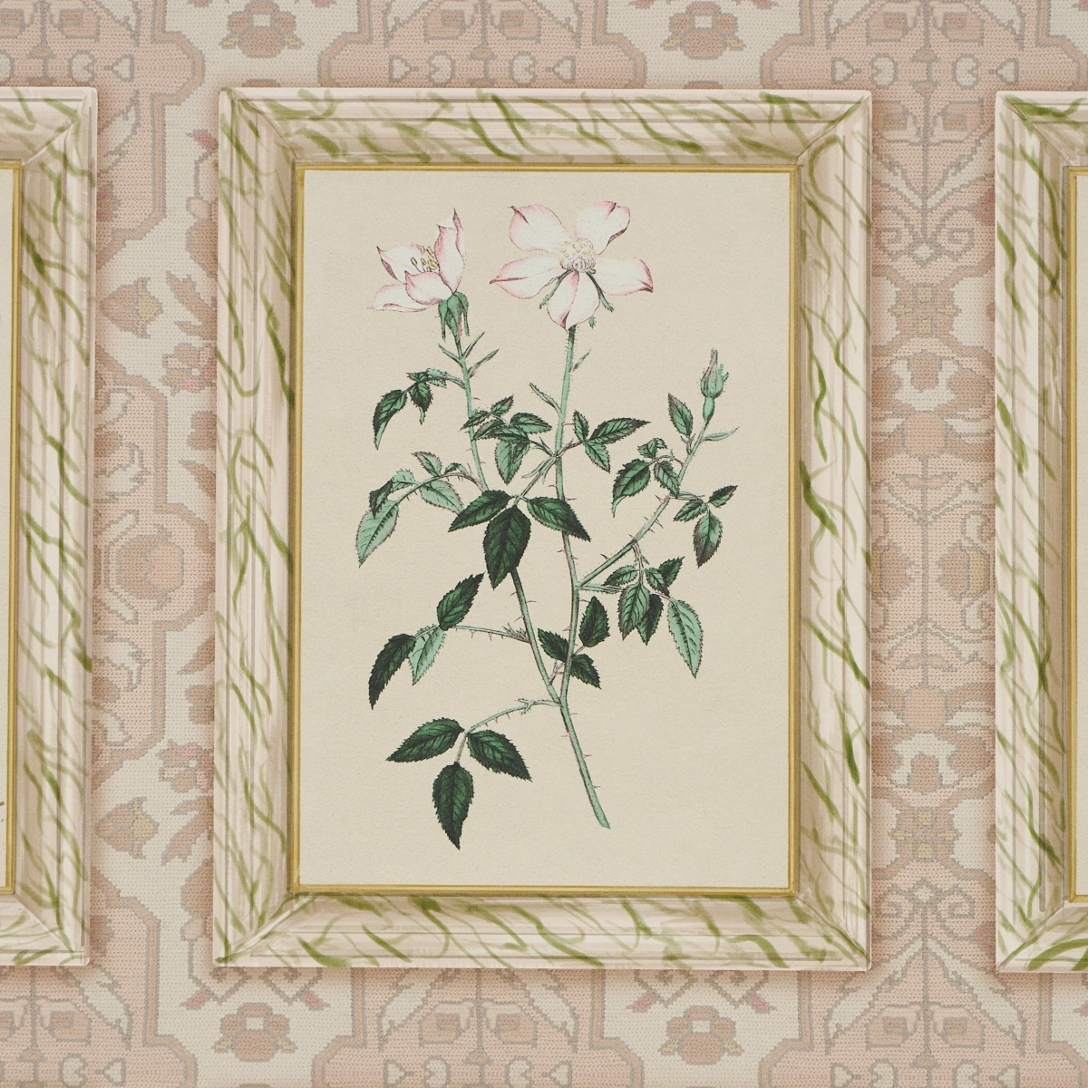Garden's Trust_ BLUSHED OYSTER