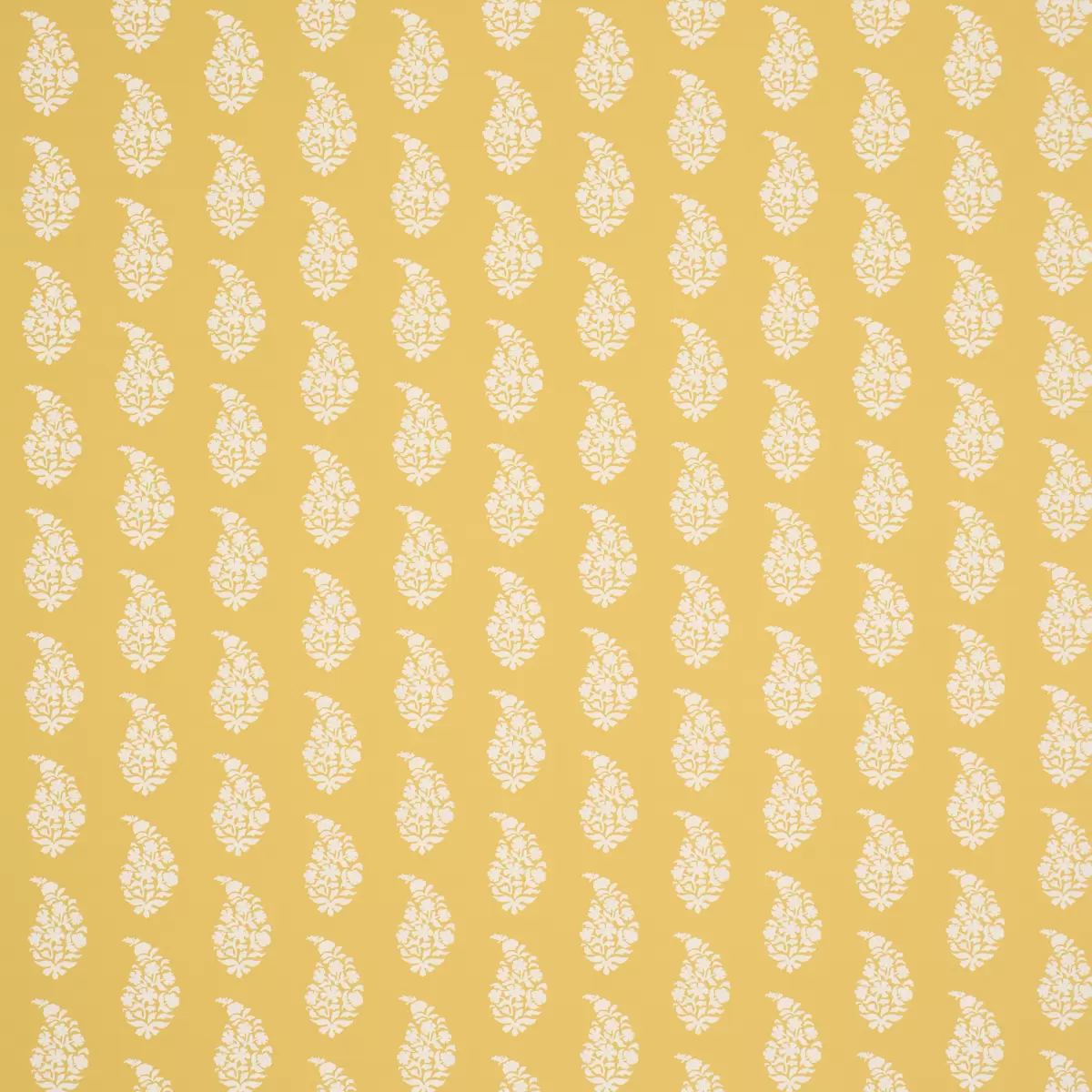 KAIA PAISLEY_ YELLOW