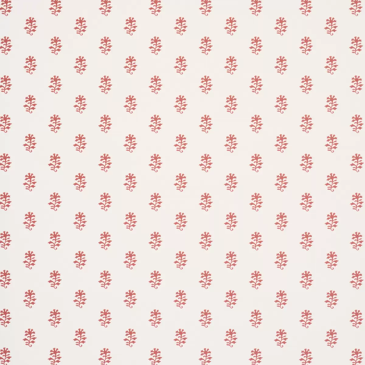 IKSHA_ CRANBERRY