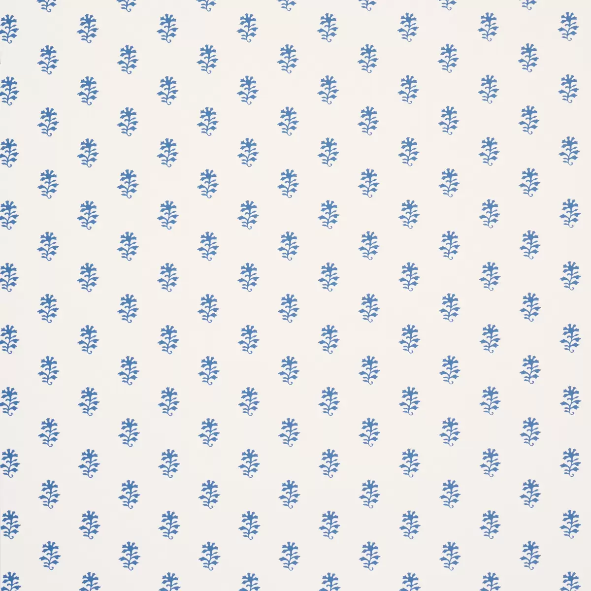 IKSHA_ INDIGO