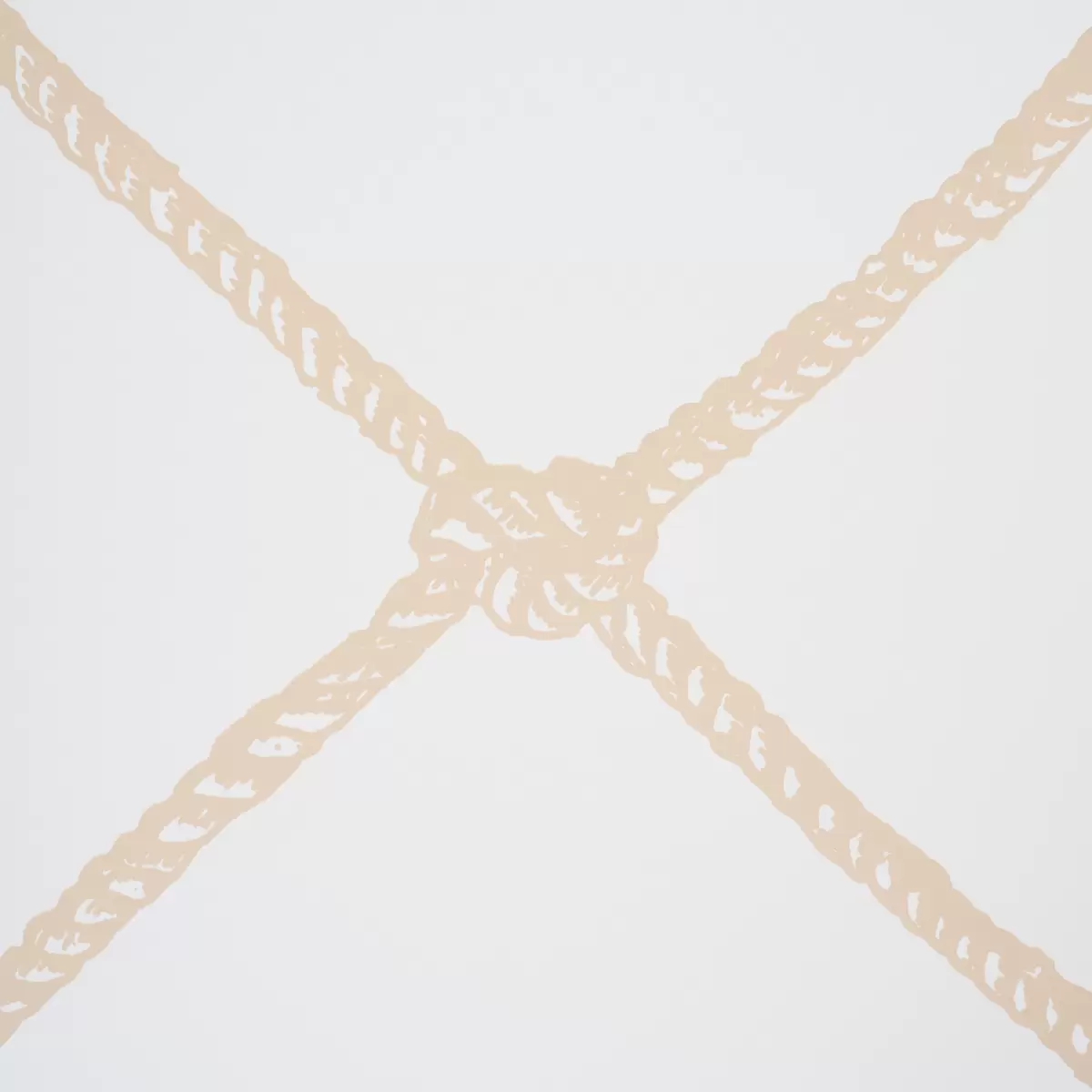LARGE ROPE_ SAND