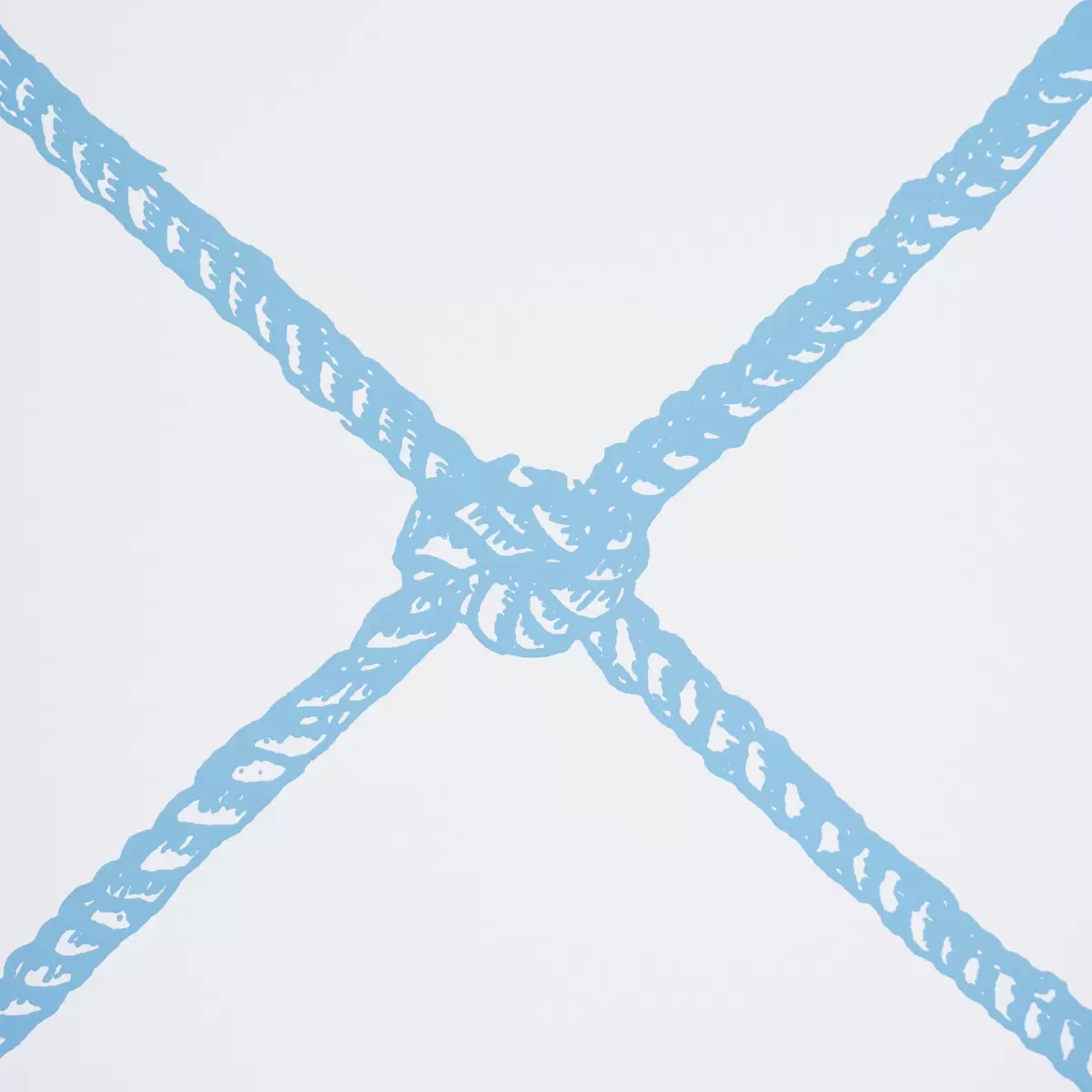 LARGE ROPE_ BLUE