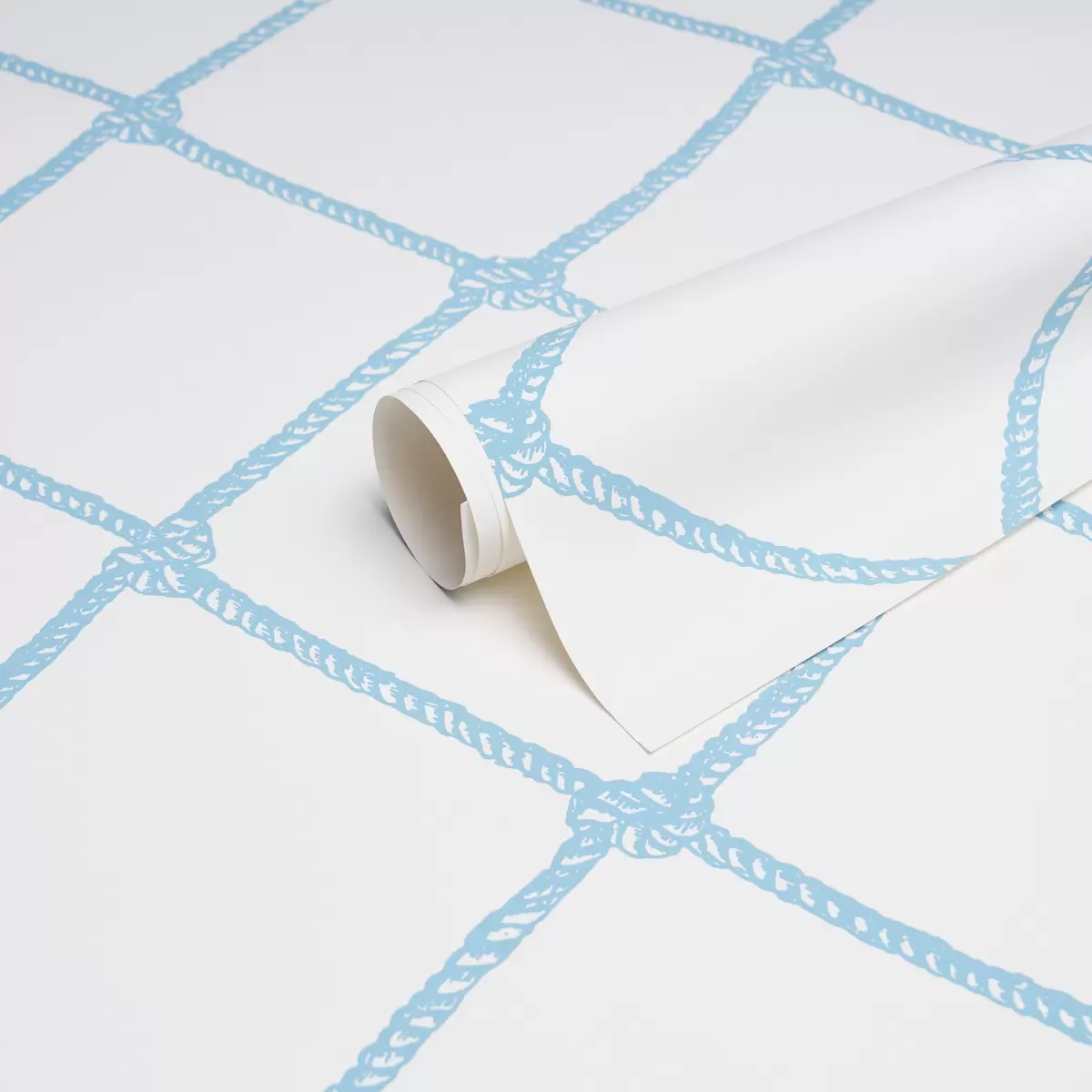 LARGE ROPE_ BLUE