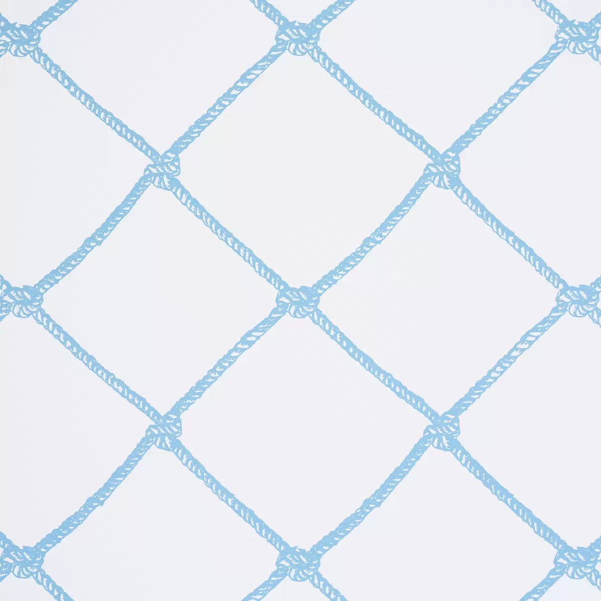 LARGE ROPE_ BLUE