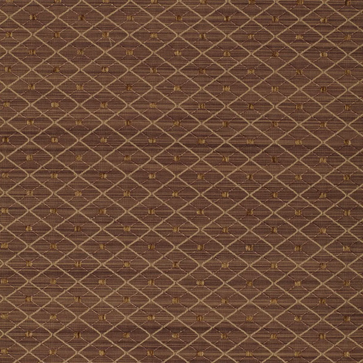 LASALLE_ MOCHA