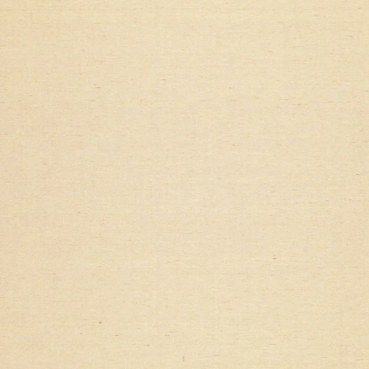 POIRET SATIN_ PLATINUM