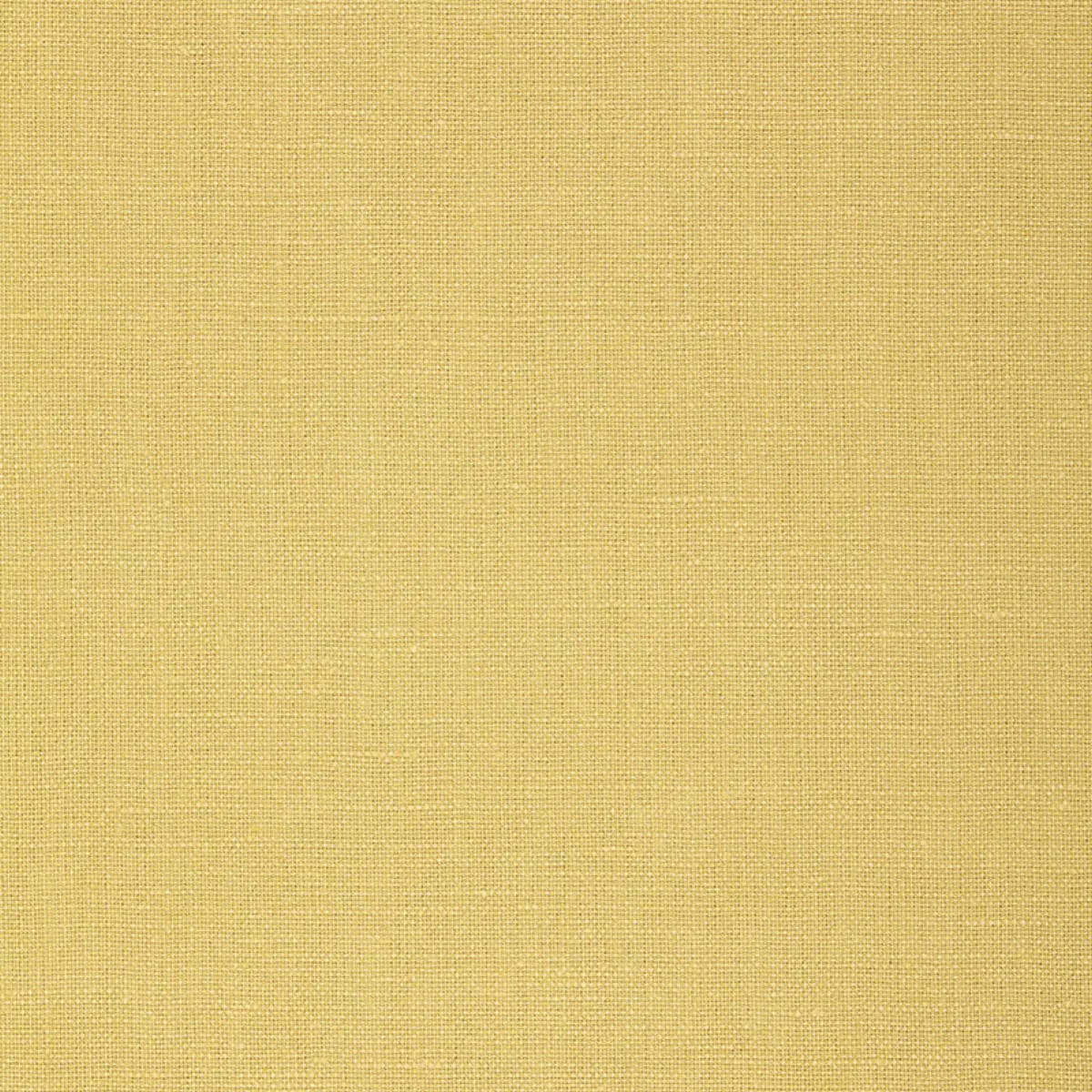 GWENETH LINEN_ STRAW