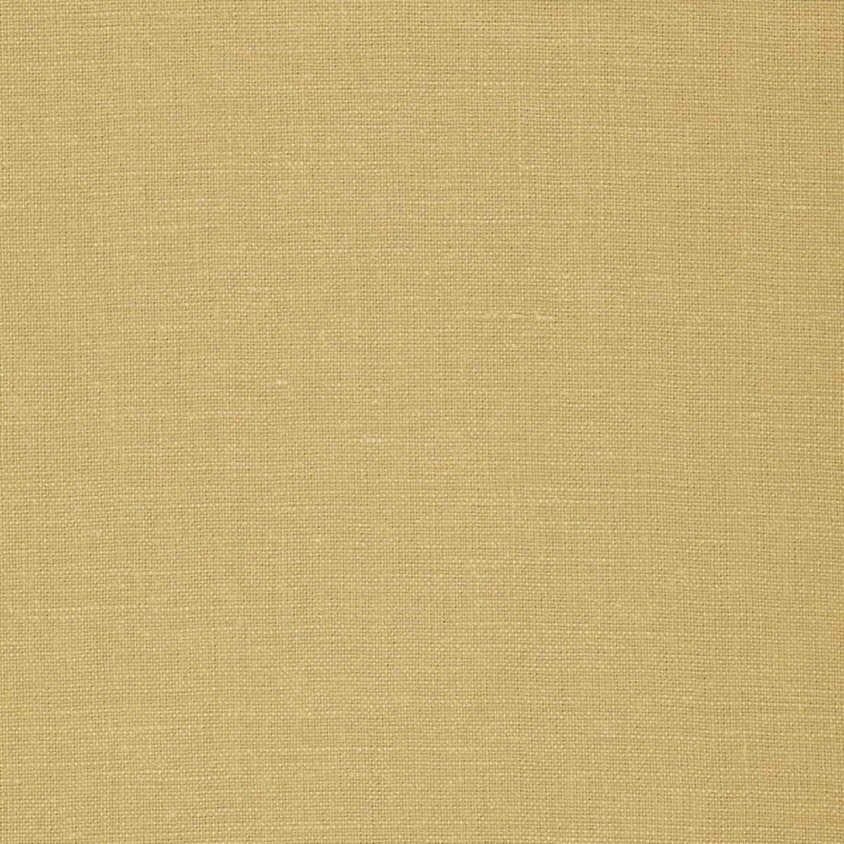 GWENETH LINEN_ SISAL