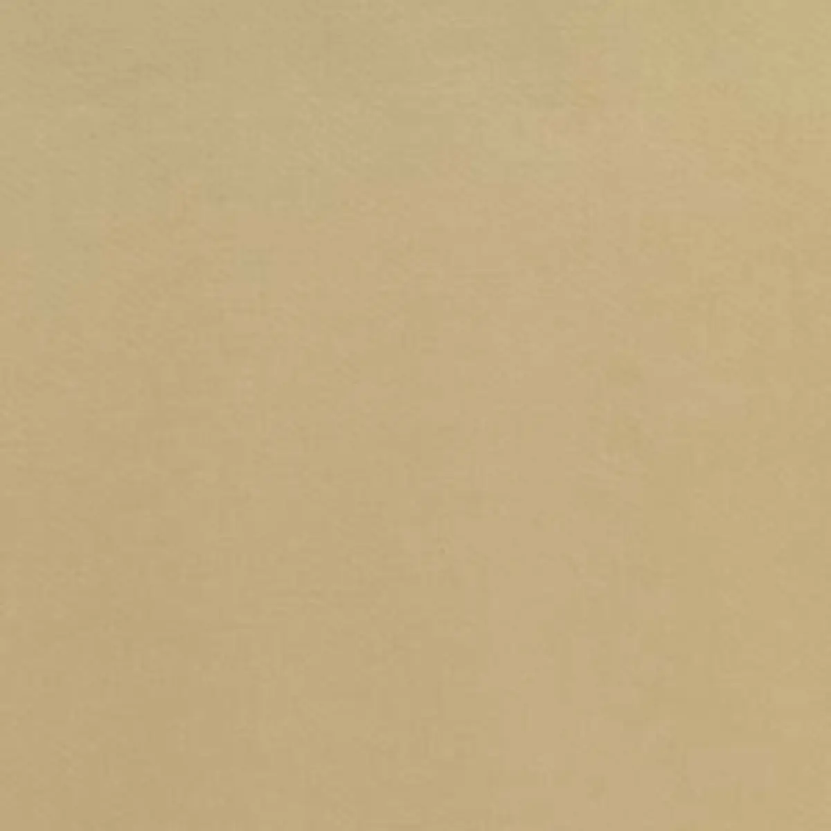 LAURENT COTTON SATIN_ CHAMOIS