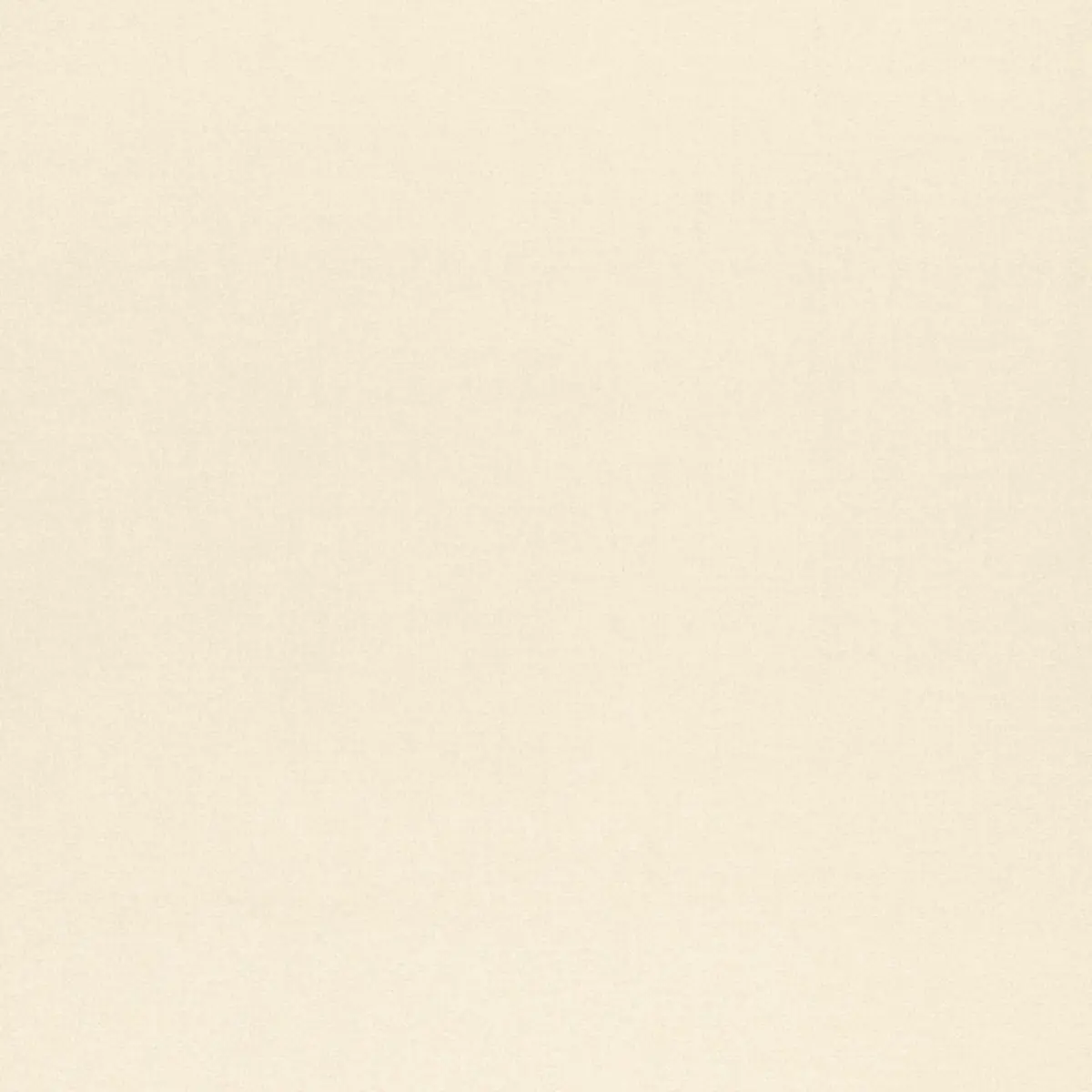 CHAVENAY SILK SATIN_ OYSTER