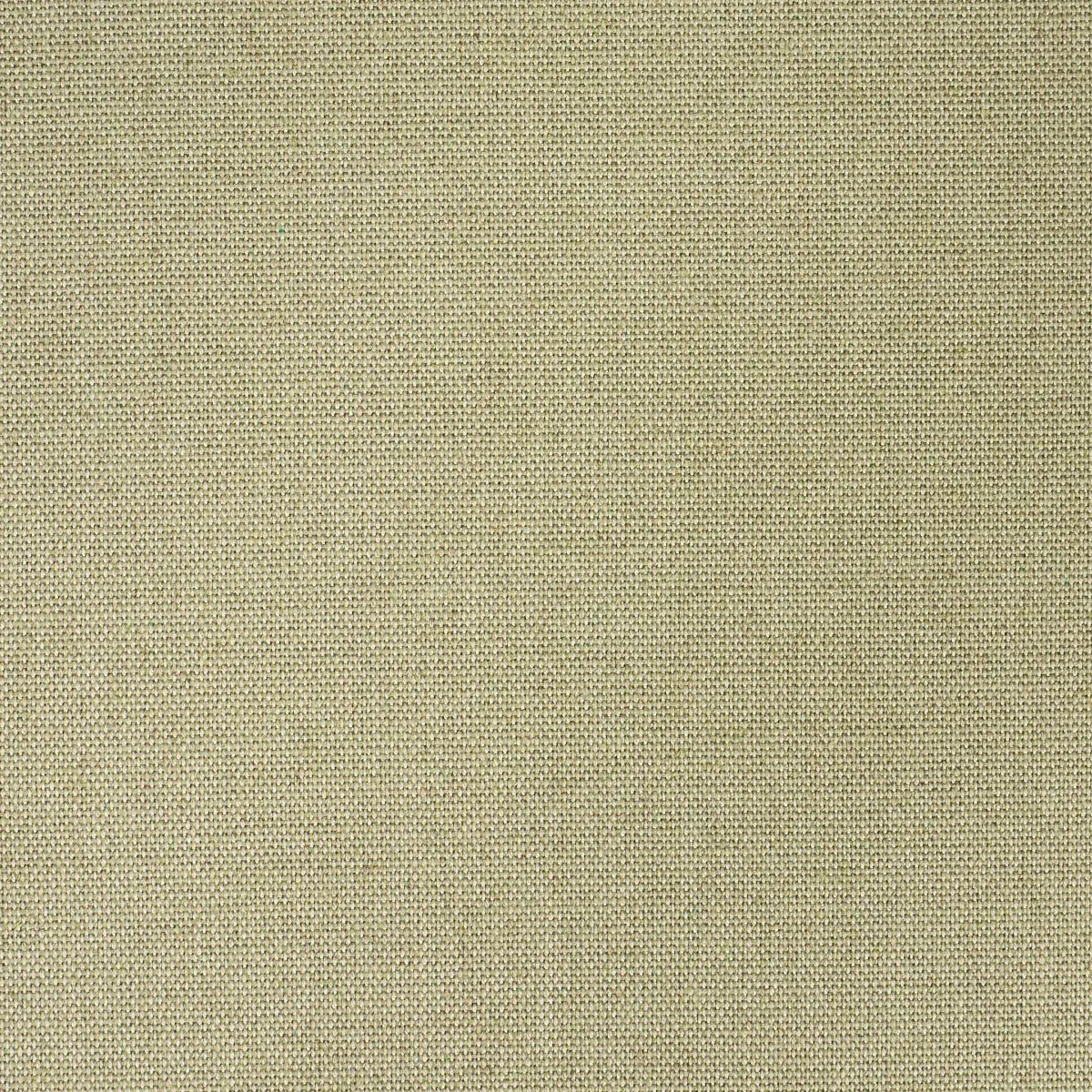 CORSICA WEAVE_ CELADON