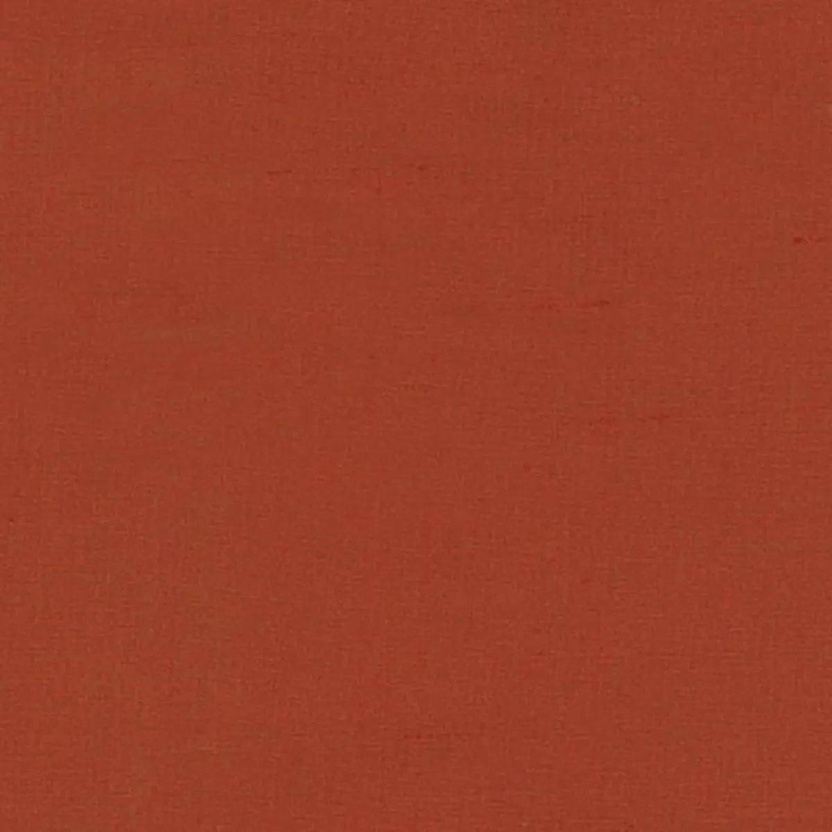 CARIBE_ CORAL