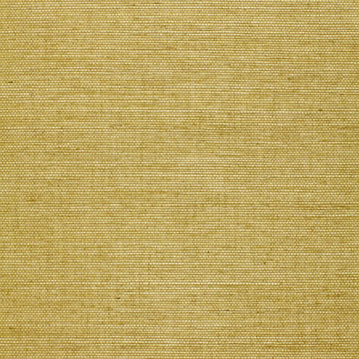 OSAN SISAL_ LIME