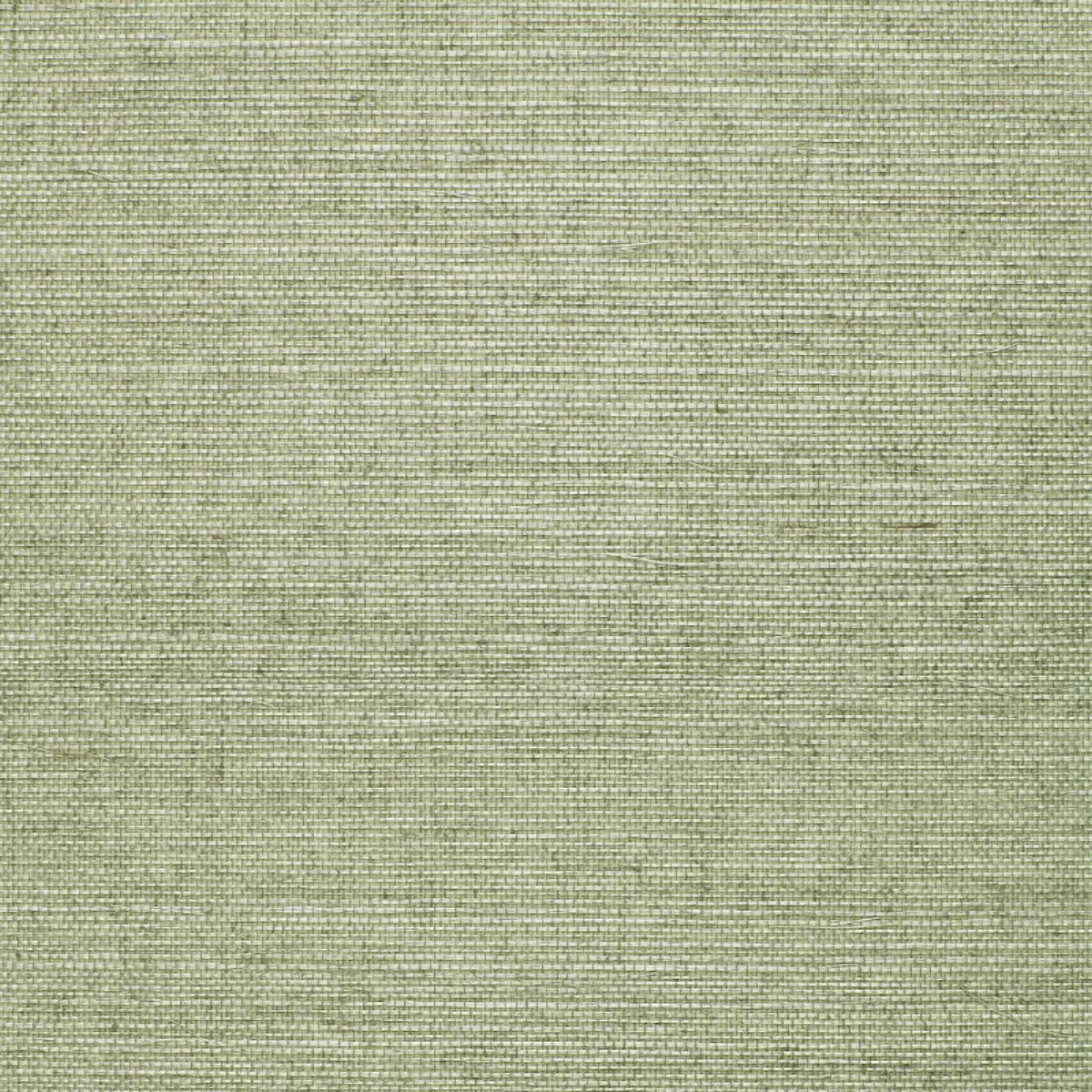 OSAN SISAL_ AQUA